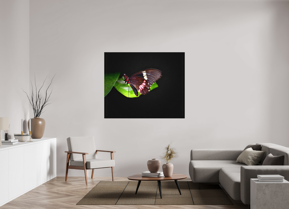 57.2 x 47″, Matte Canvas no Frame Velvet Wings
