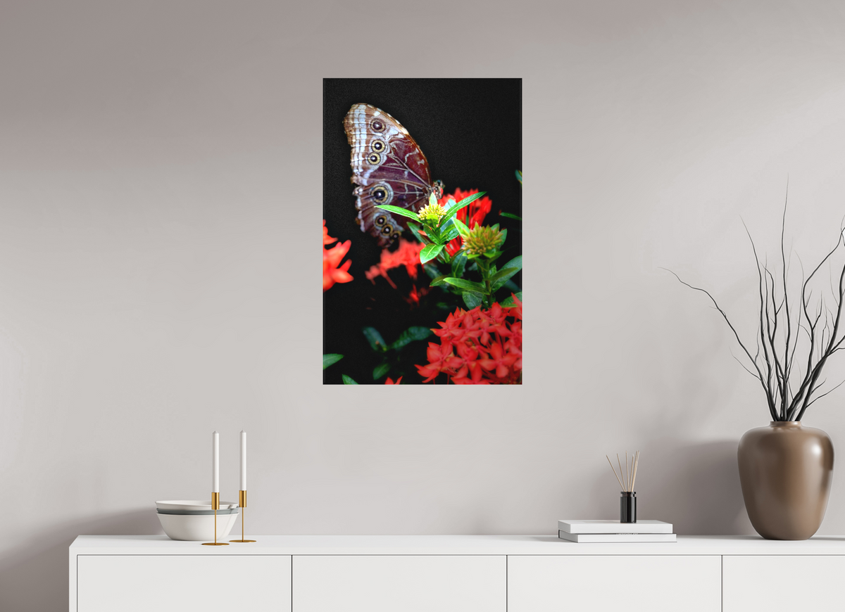 20 x 31.1″, Matte Canvas no Frame Midnight Visitor