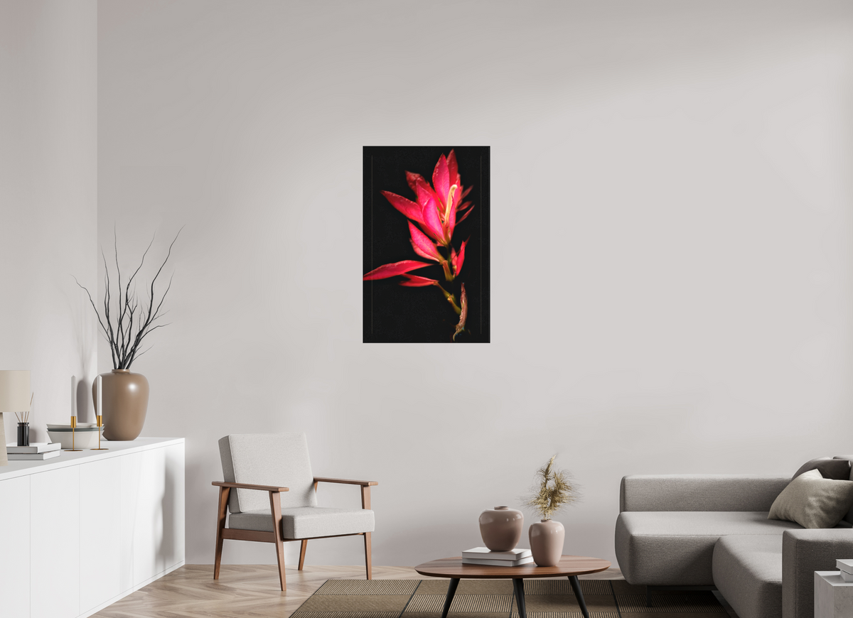 24 x 37.4″, Matte Canvas no Frame Scarlet Awakening