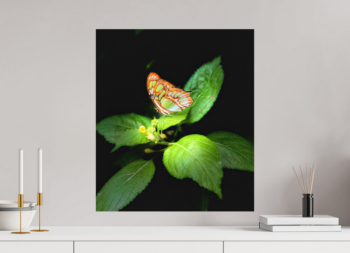 20 x 23.1″, Print on Aluminum Dibon no Glass Edit edit
