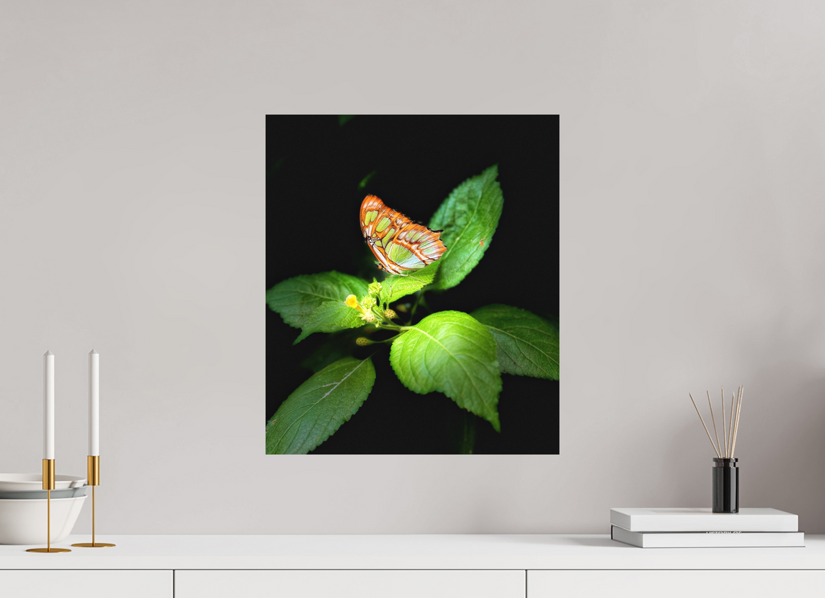 16 x 18.5″, Fine Art Print No Frame Edit edit