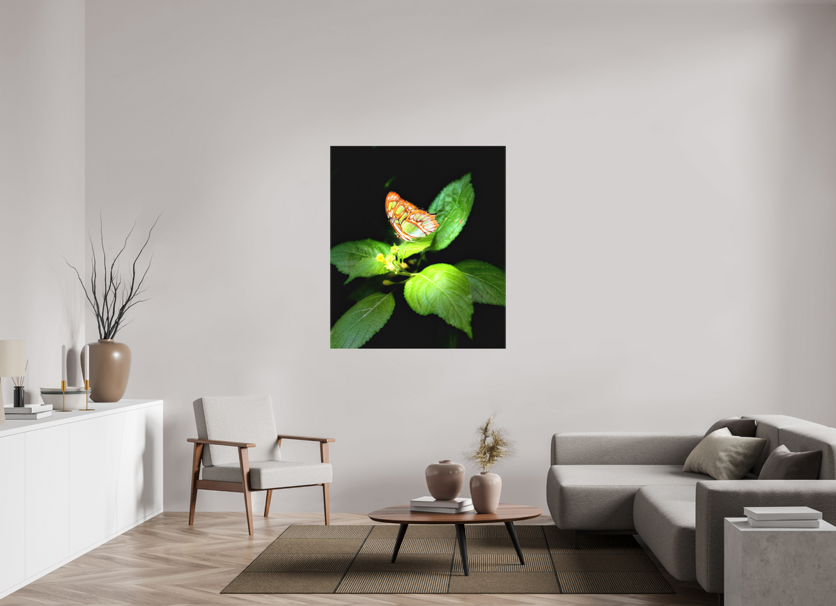 43 x 49.7″, Matte Canvas no Frame Edit edit