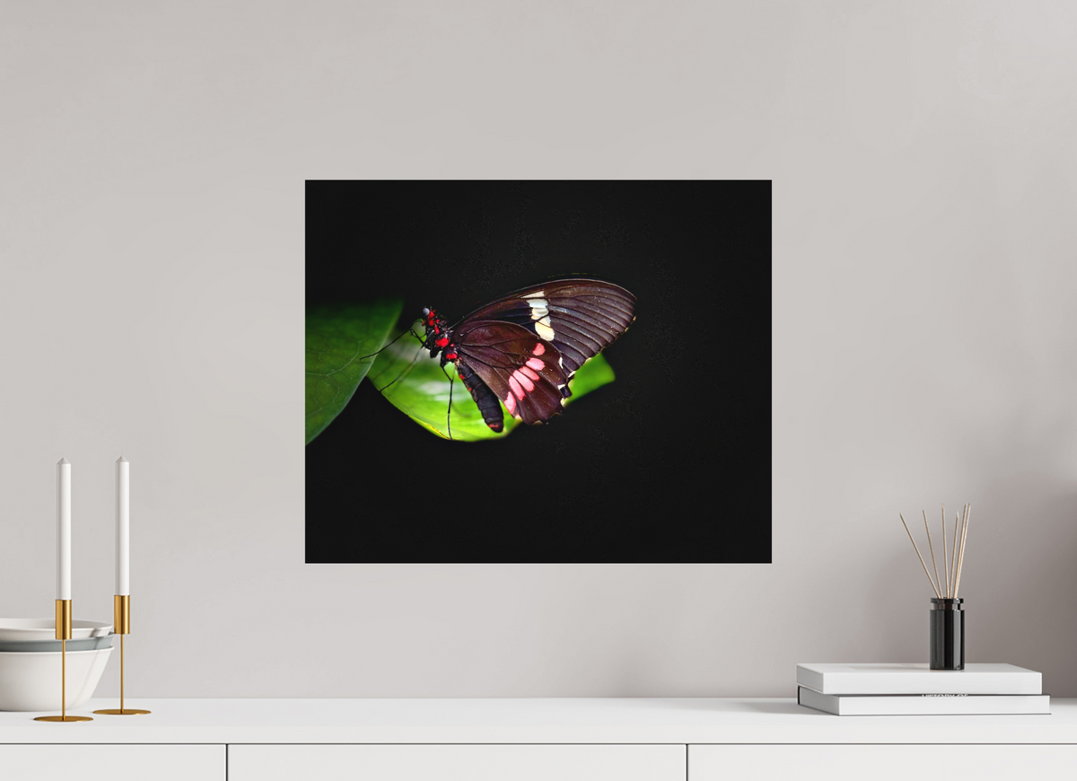 19.4 x 16″, Fine Art Print No Frame Velvet Wings