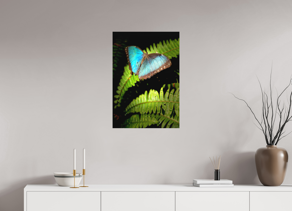 20 x 29″, Fine Art Print (Unframed) Held By Wonder