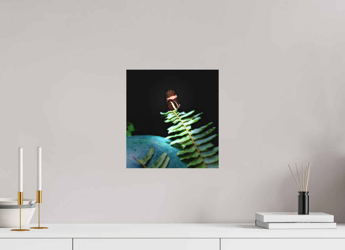 12 x 12.8″, Fine Art Print No Frame Fernlight