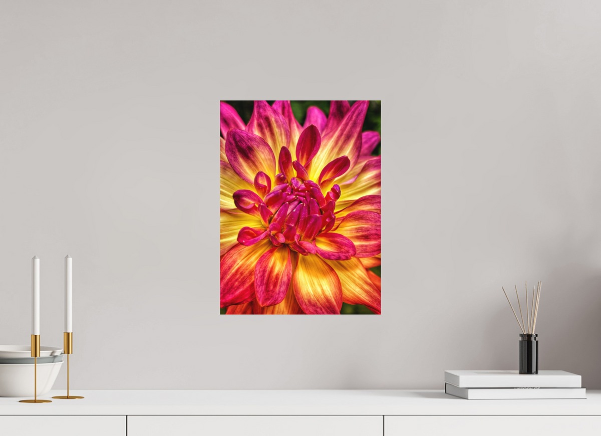 12 x 16″, Fine Art Print No Frame Unapologetic Bloom