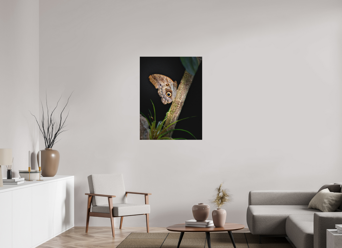 30 x 40″, Fine Art Print No Frame Keeper of the Branch