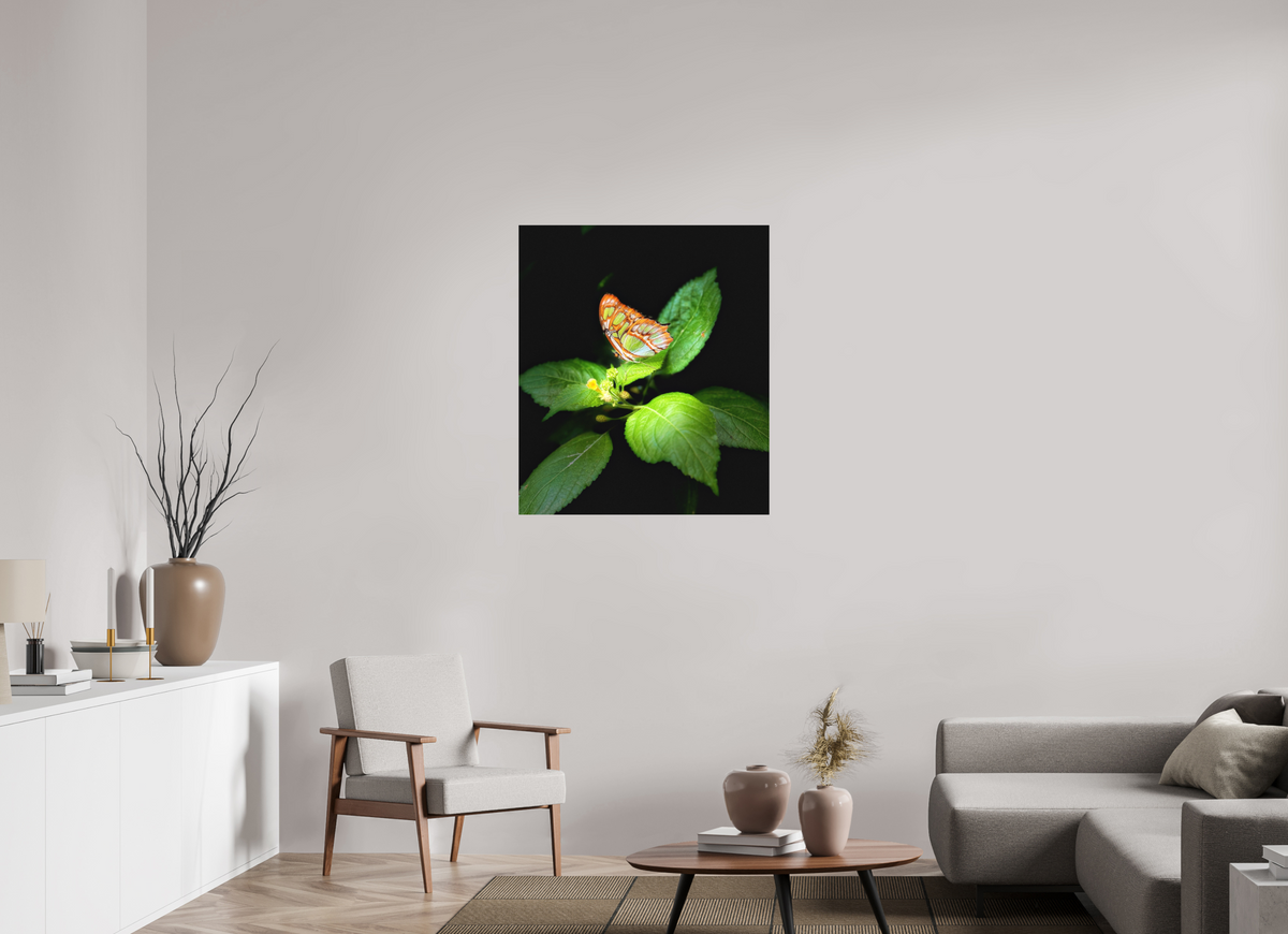 32 x 37″, Fine Art Print No Frame Edit edit
