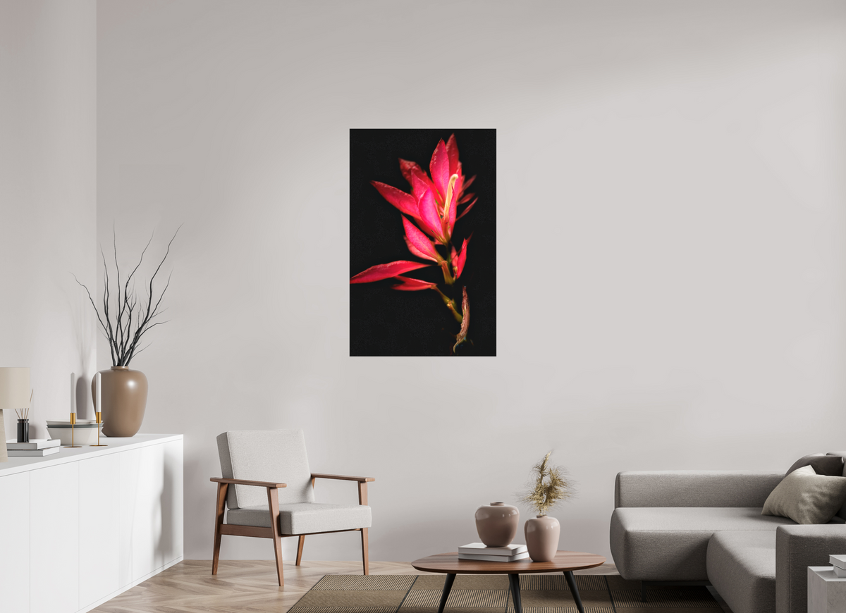28 x 43.7″, Matte Canvas no Frame Scarlet Awakening