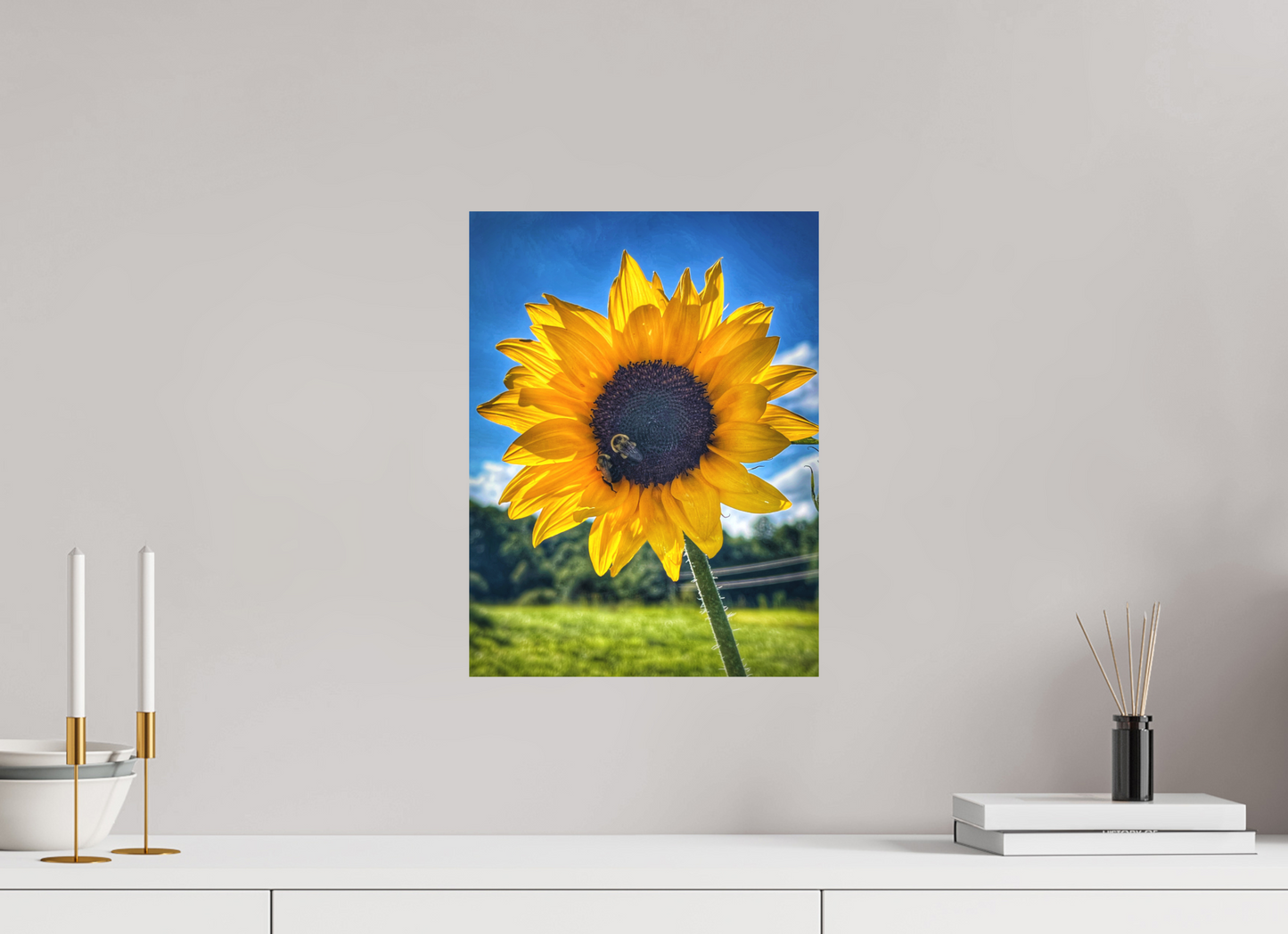 12 x 16″, Print on Aluminum Dibon no Glass The Work of Light