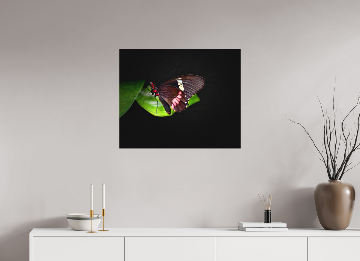 29.2 x 24″, Print on Aluminum Dibon no Glass Velvet Wings