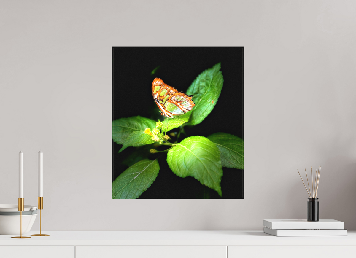 16 x 18.5″, Matte Canvas no Frame Edit edit
