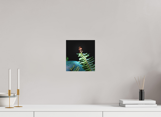 8 x 8.6″, Print on Aluminum Dibon no Glass Fernlight