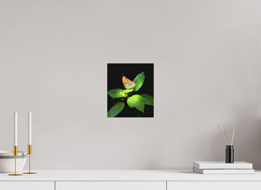 8 x 9.3″, Fine Art Print No Frame Edit edit