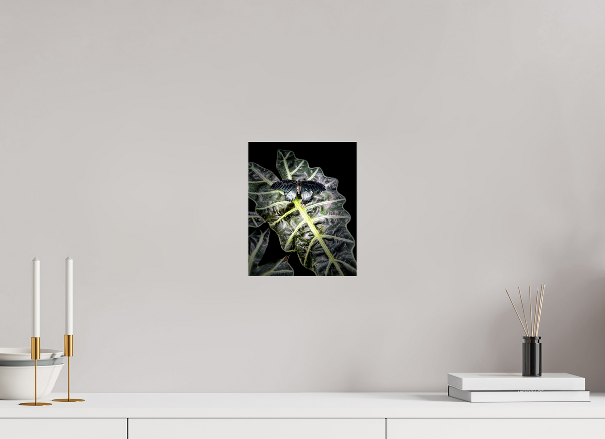 8 x 9.8″, Acrylic Glass Print (Unframed) Veins of Light