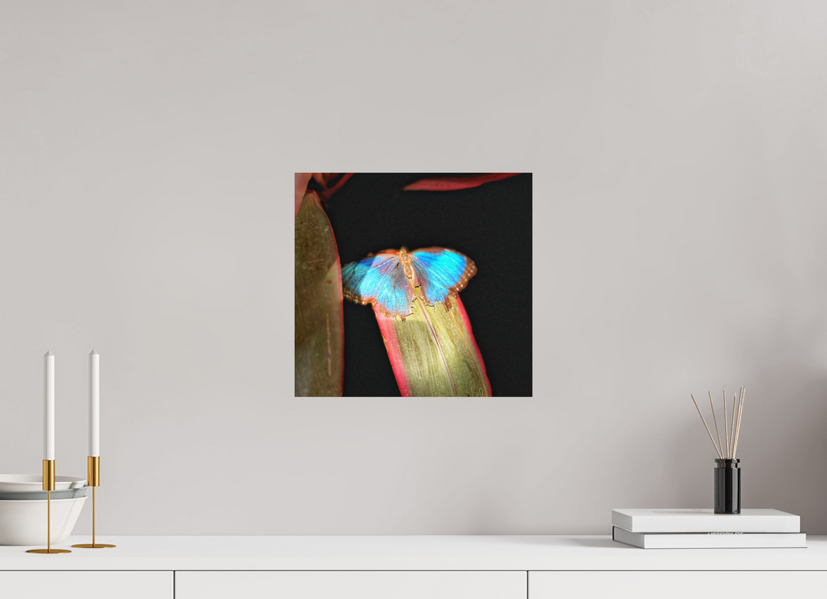 12.7 x 12″, Print on Aluminum Dibon no Glass Blue Reverie