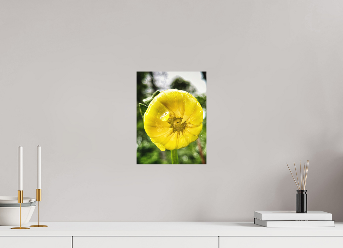 9 x 12″, Print on Aluminum Dibon no Glass A Drop of Sun