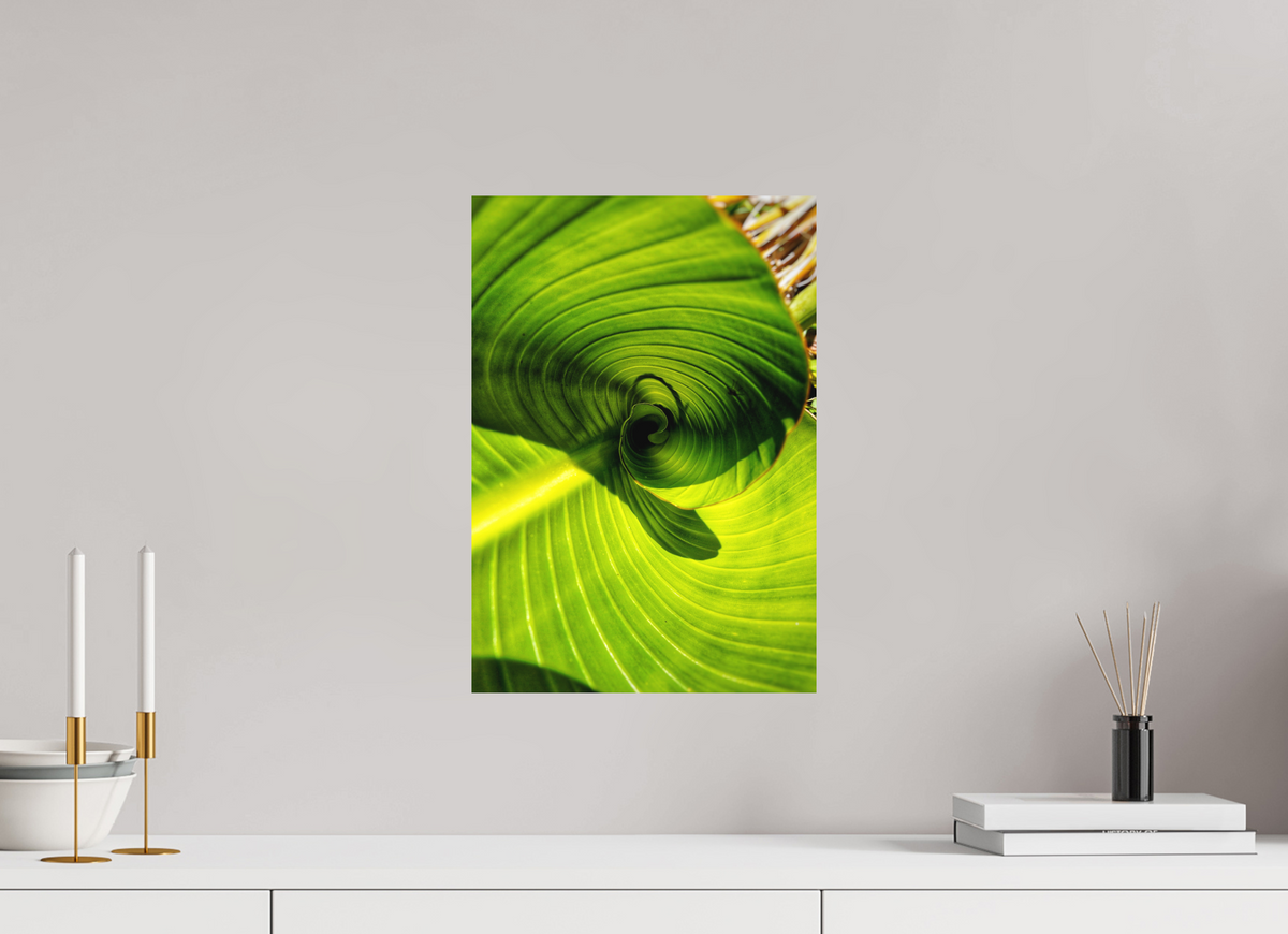 12 x 17.3″, Fine Art Print No Frame The Inward Spiral