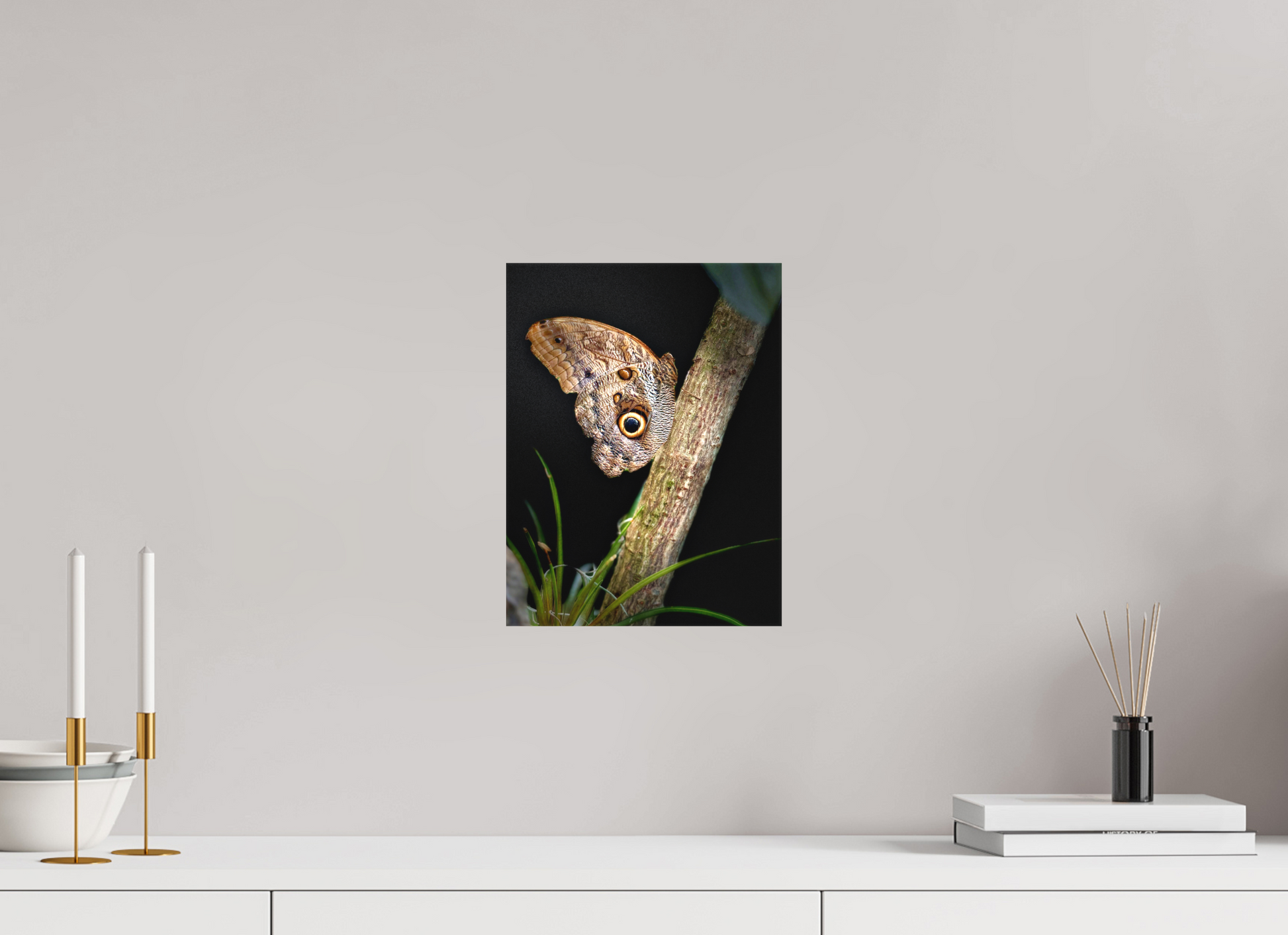 9 x 12″, Matte Canvas no Frame Keeper of the Branch