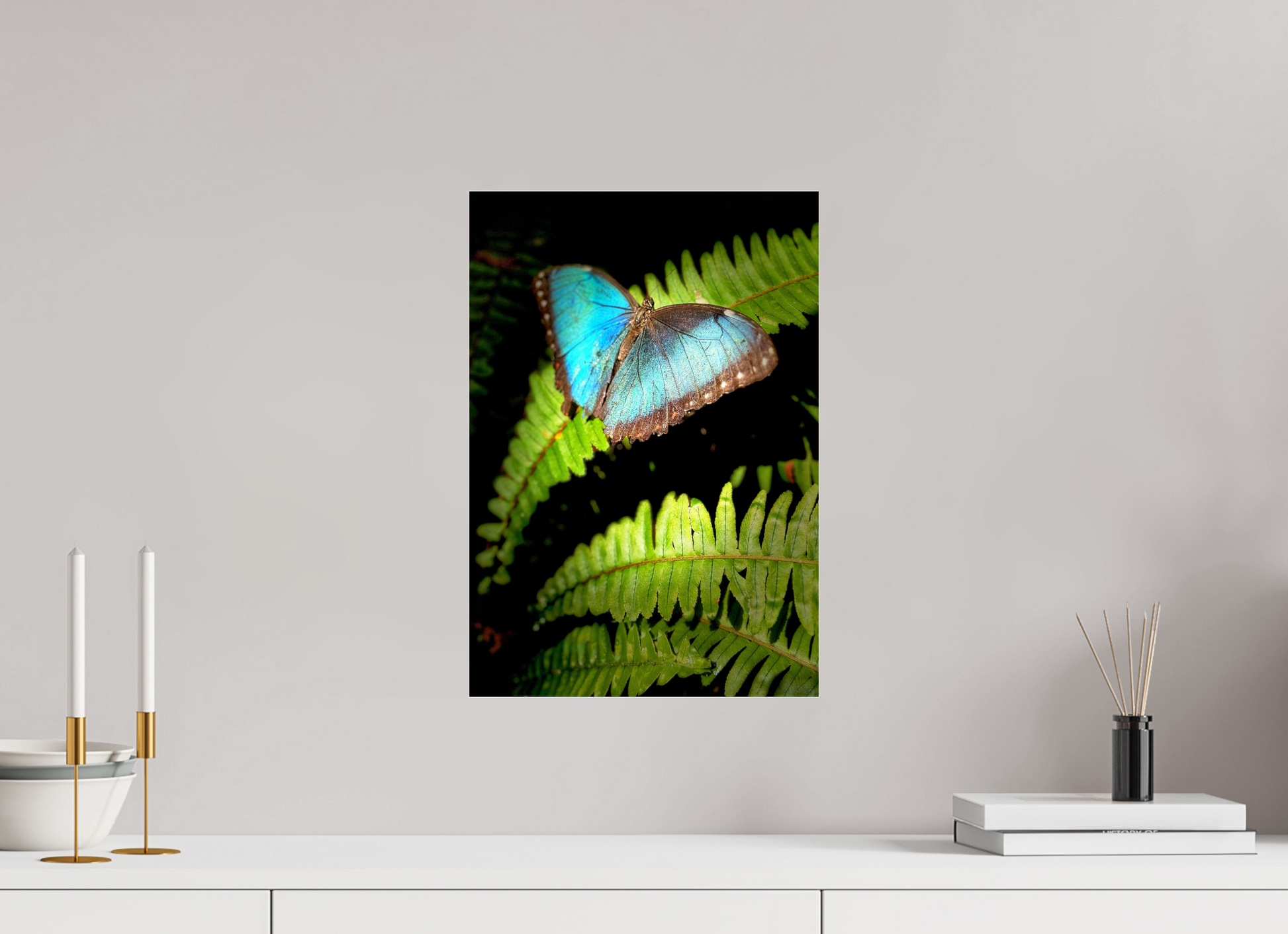 12 x 17.4″, Acrylic Glass Print (Unframed) Held By Wonder