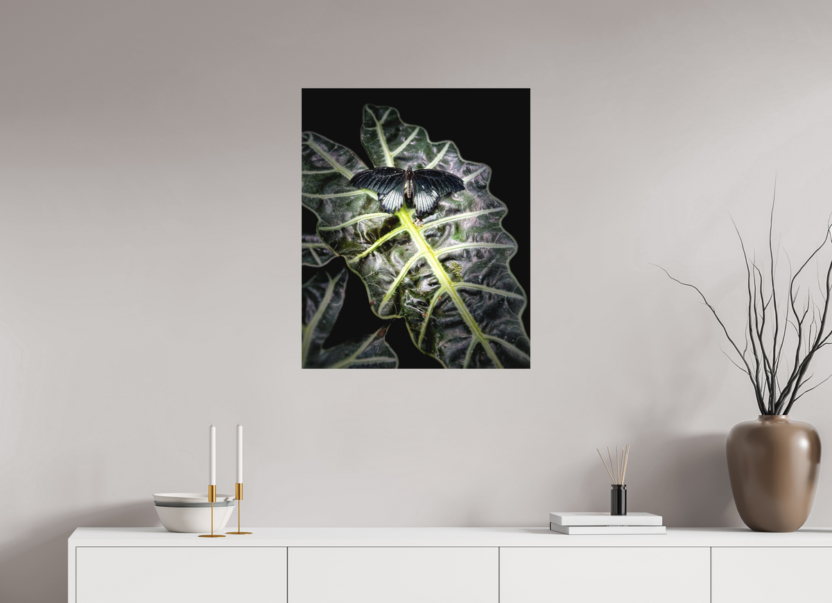 24 x 29.5″, Fine Art Print No Frame Veins of Light