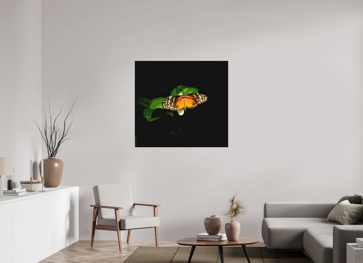 42.1 x 39″, Print on Aluminum Dibon no Glass Monarch's Pause