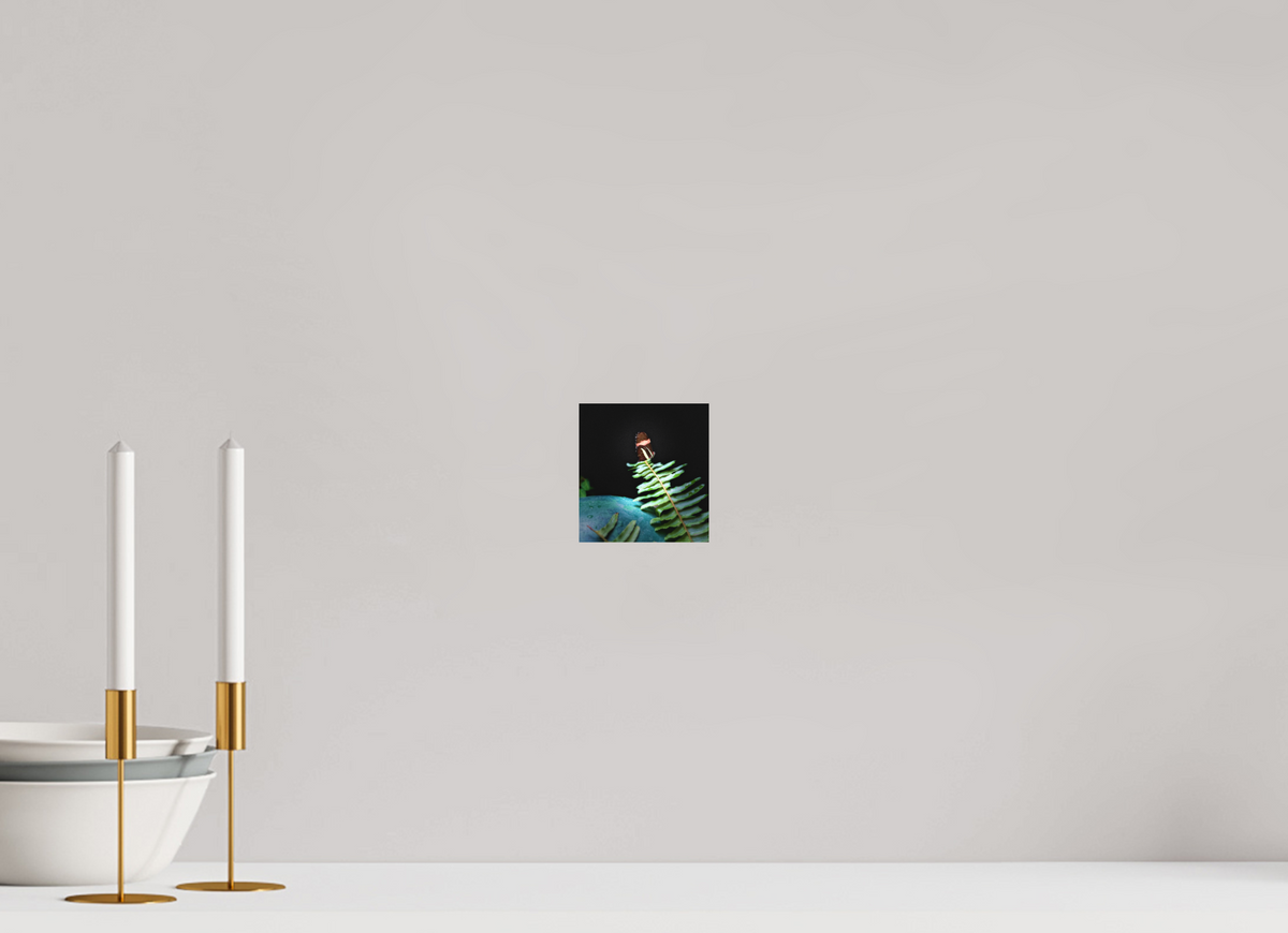 4 x 4.3″, Print on Aluminum Dibon no Glass Fernlight