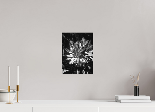 9 x 12″, Fine Art Print No Frame Shadow Petals