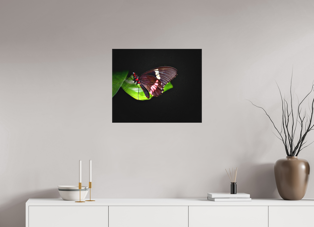24.3 x 20″, Matte Canvas no Frame Velvet Wings