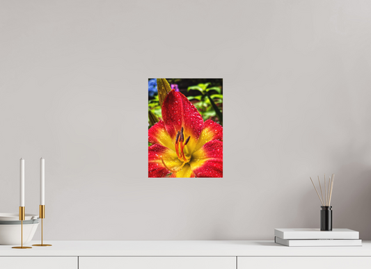 9 x 12″, Fine Art Print No Frame Scarlet Becoming