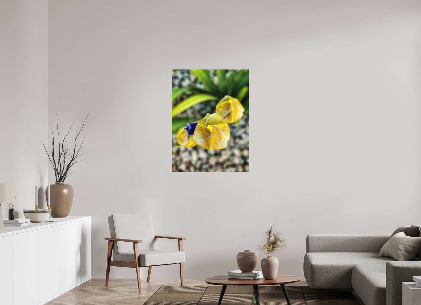 30 x 40″, Print on Aluminum Dibon no Glass Golden Curiosity