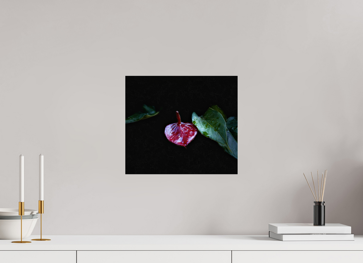 13.7 x 12″, Fuji Crystal Paper under Acrylic Glass no Frame The Gift