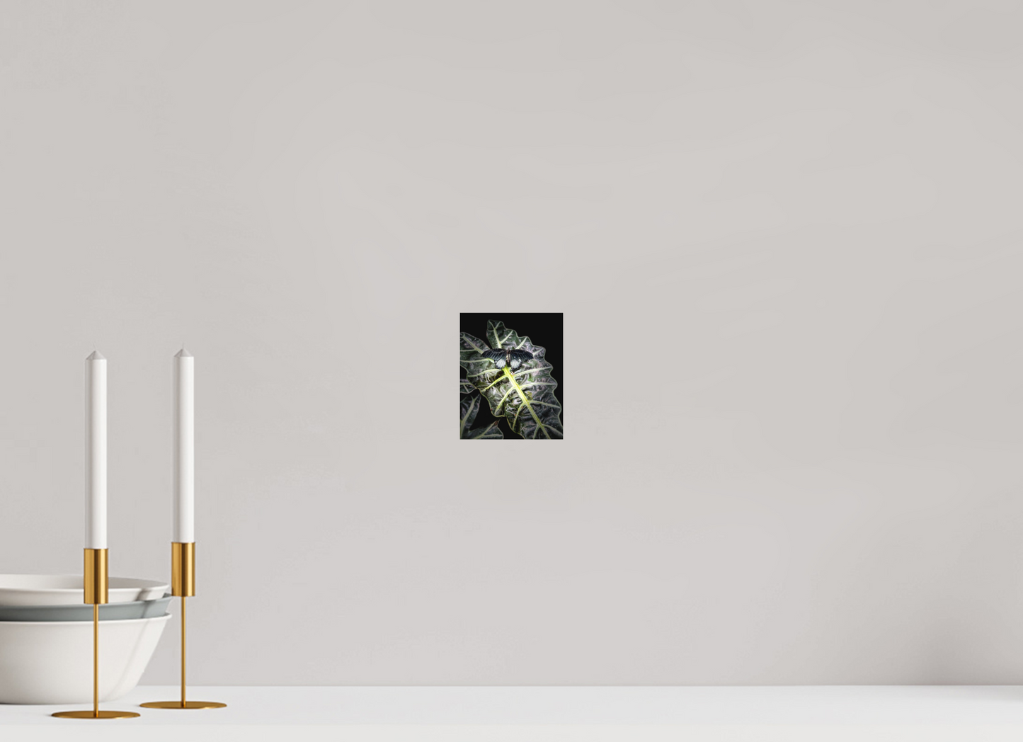 4 x 4.9″, Print on Aluminum Dibon no Glass Veins of Light