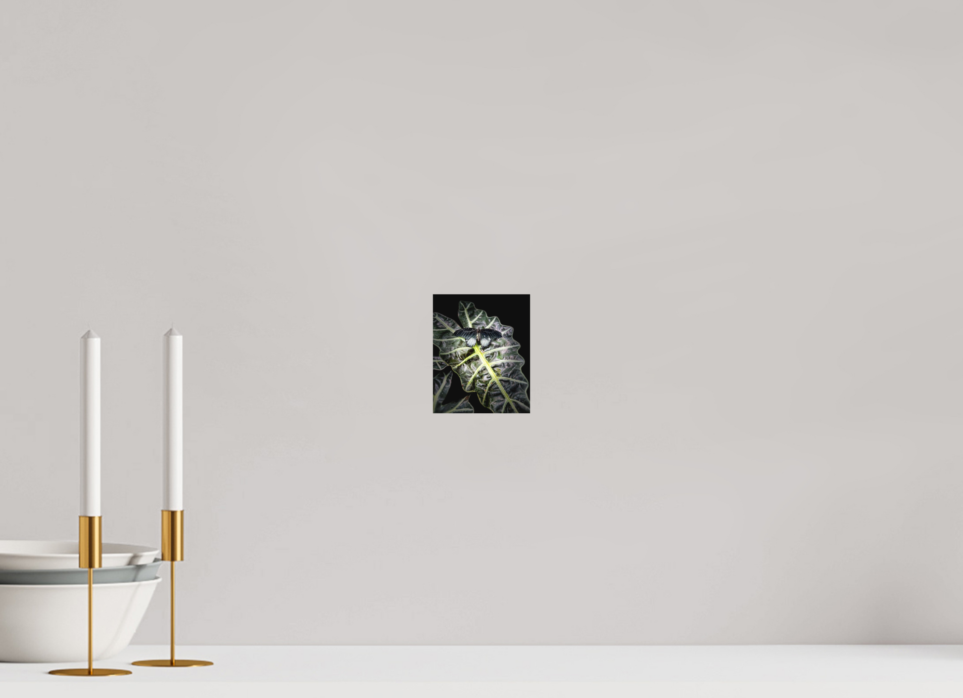 4 x 4.9″, Print on Aluminum Dibon no Glass Veins of Light