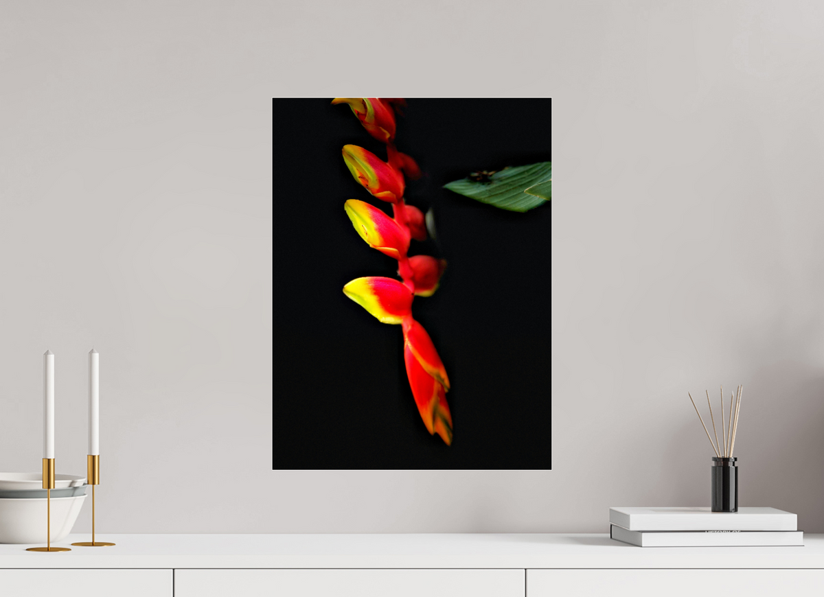 15 x 20″, Fuji Crystal Paper under Acrylic Glass no Frame Ember's Whisper