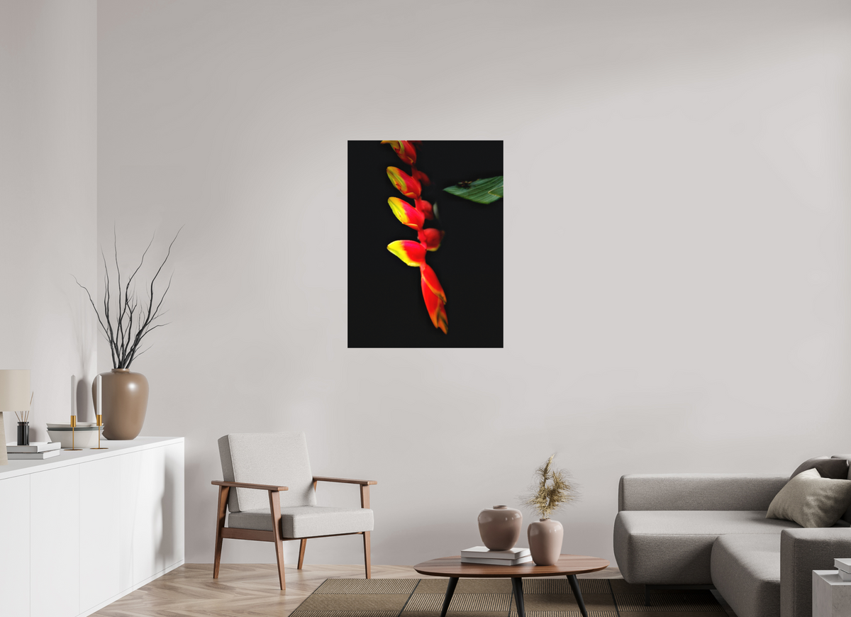 30 x 40″, Print on Aluminum Dibon no Glass Ember's Whisper