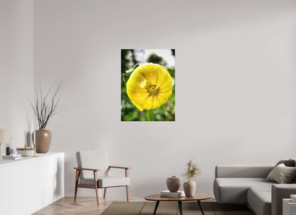 A Drop of Sun — 30 x 40″ room mockup; finish varies by configuration.