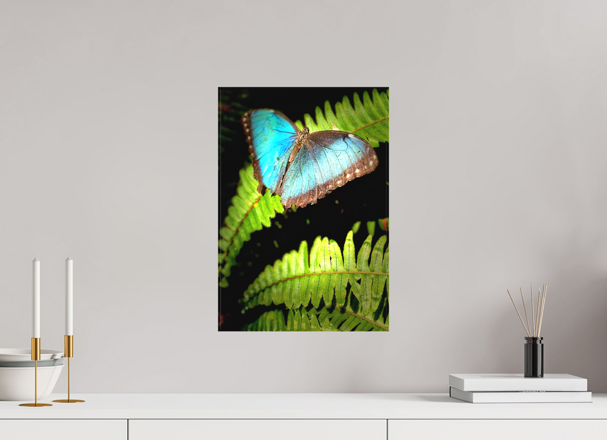 12 x 17.4″, Matte Canvas Print (Unframed) Held By Wonder