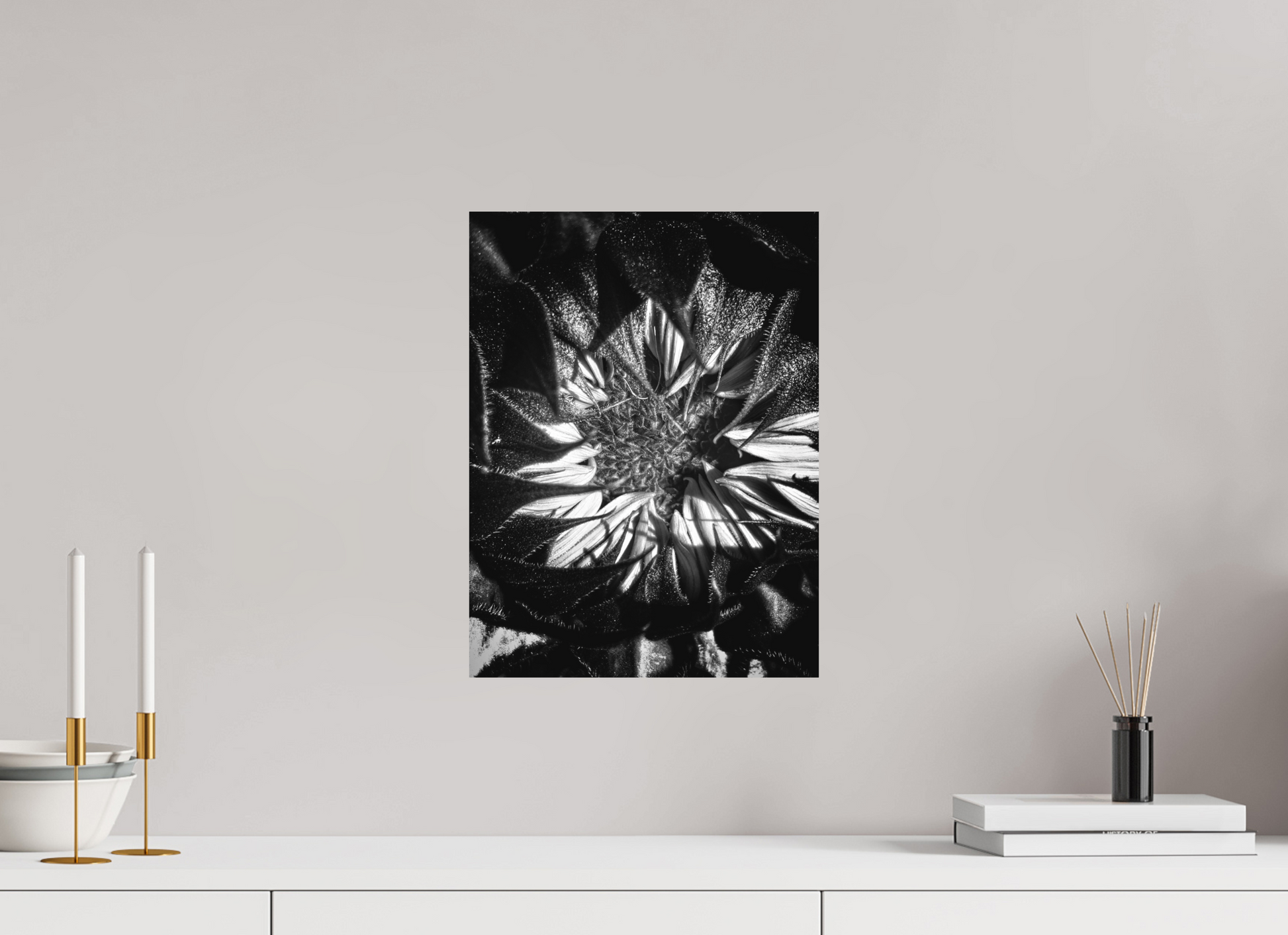 12 x 16″, Print on Aluminum Dibon no Glass Shadow Petals