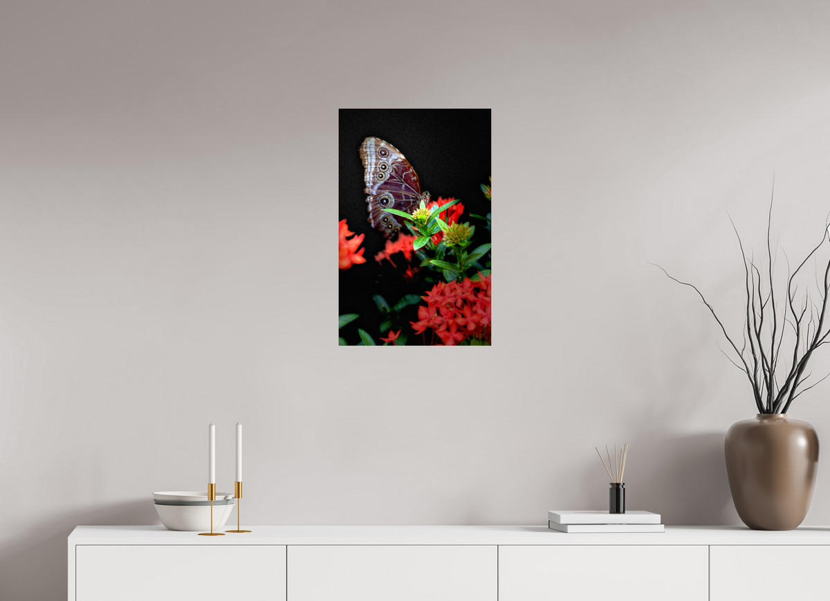 16 x 24.8″, Fuji Crystal Paper under Acrylic Glass no Frame Midnight Visitor