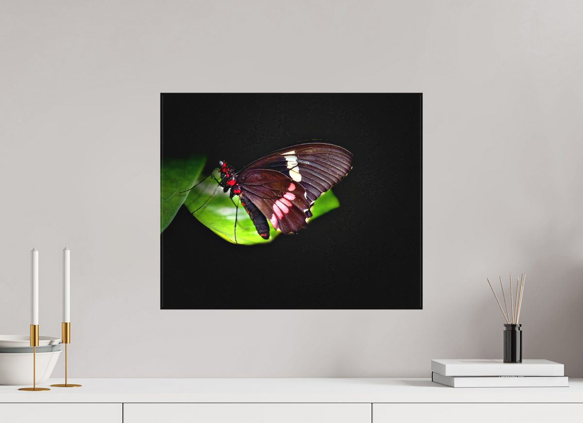 19.4 x 16″, Matte Canvas no Frame Velvet Wings