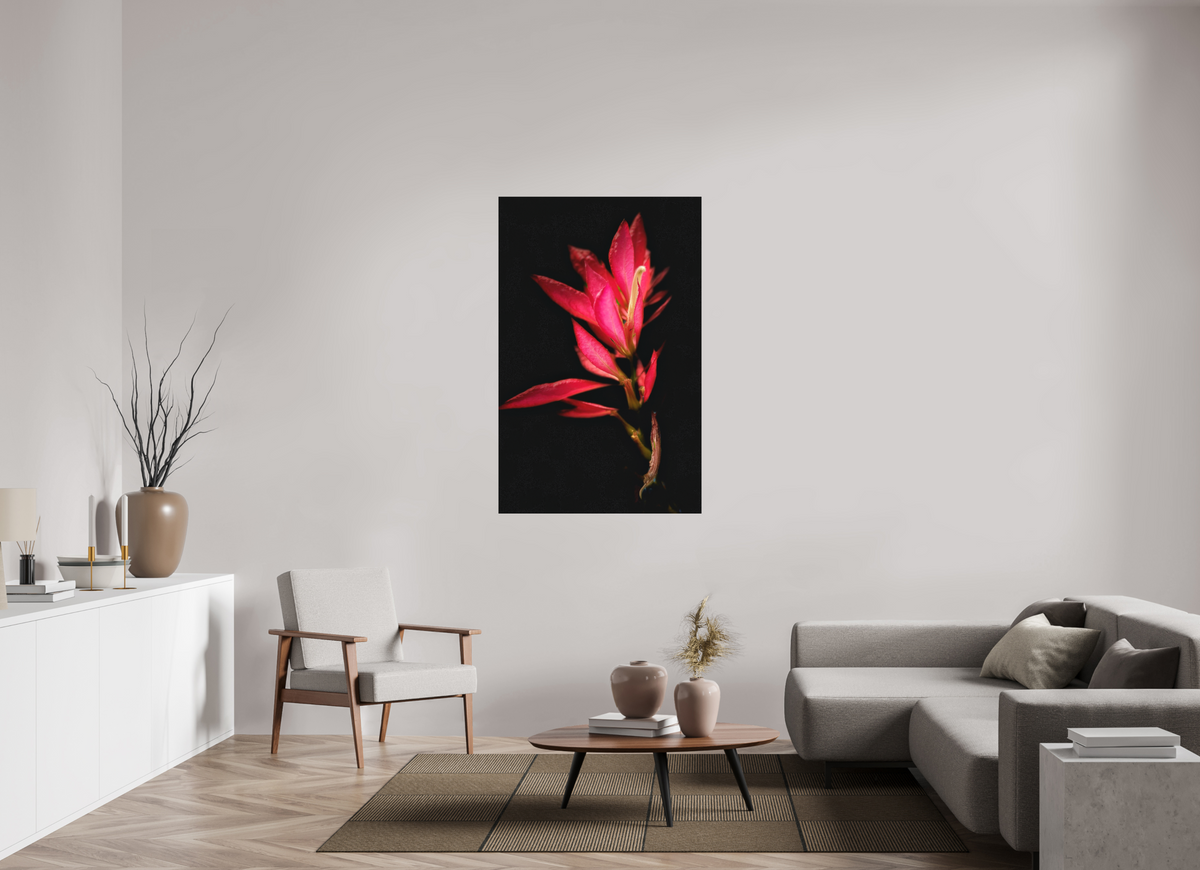 35 x 54.6″, Print on Aluminum Dibon no Glass Scarlet Awakening