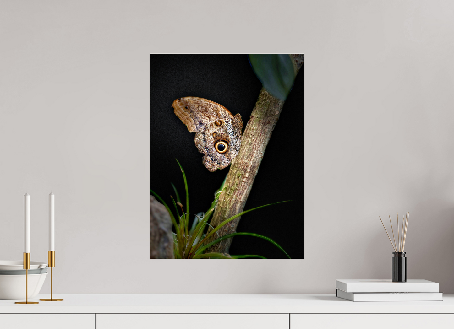 15 x 20″, Fuji Crystal Paper under Acrylic Glass no Frame Keeper of the Branch
