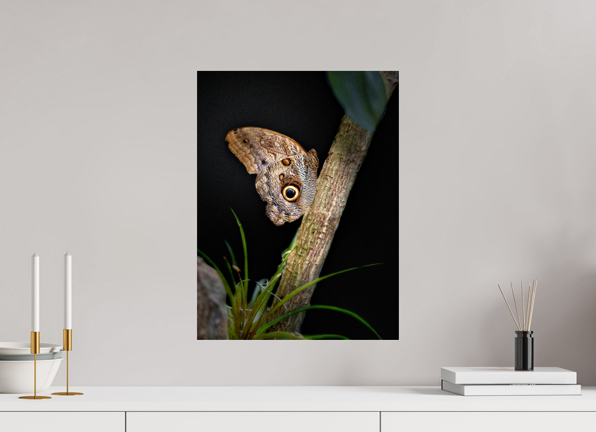 15 x 20″, Fuji Crystal Paper under Acrylic Glass no Frame Keeper of the Branch