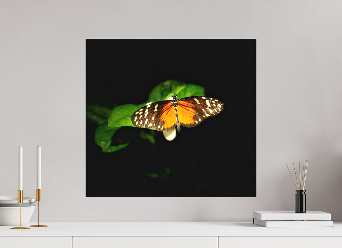 21.6 x 20″, Matte Canvas no Frame Monarch's Pause