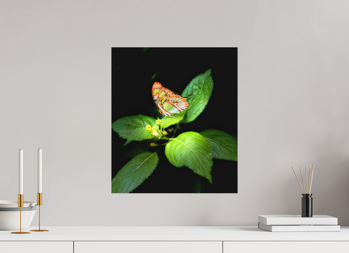 16 x 18.5″, Print on Aluminum Dibon no Glass Edit edit