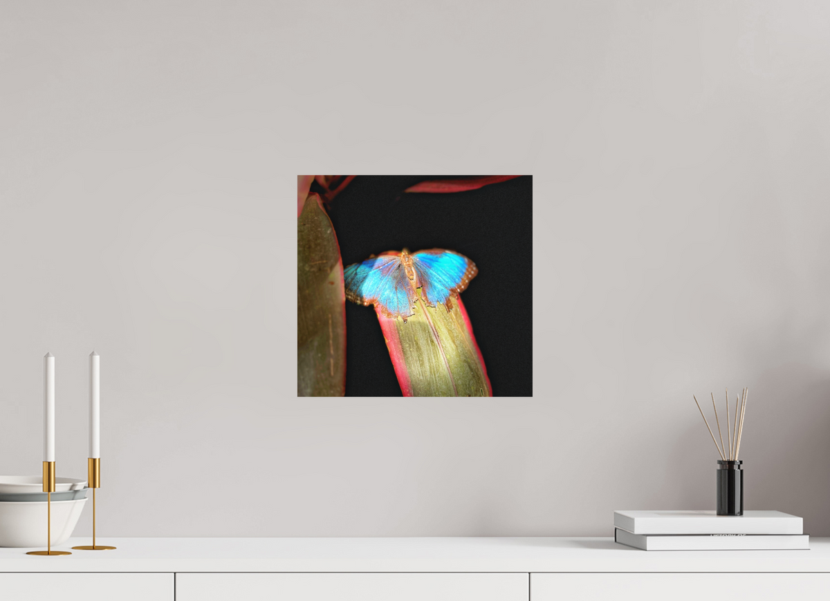 12.7 x 12″, Fine Art Print No Frame Blue Reverie