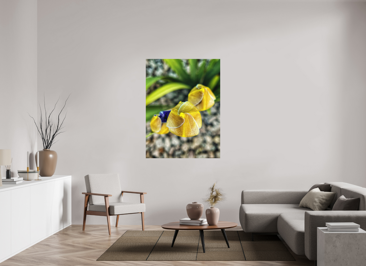 Golden Curiosity — 42 x 56″ room mockup; finish varies by configuration.