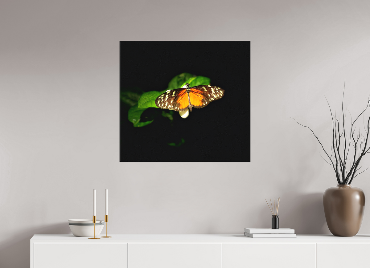 30.2 x 28″, Matte Canvas no Frame Monarch's Pause