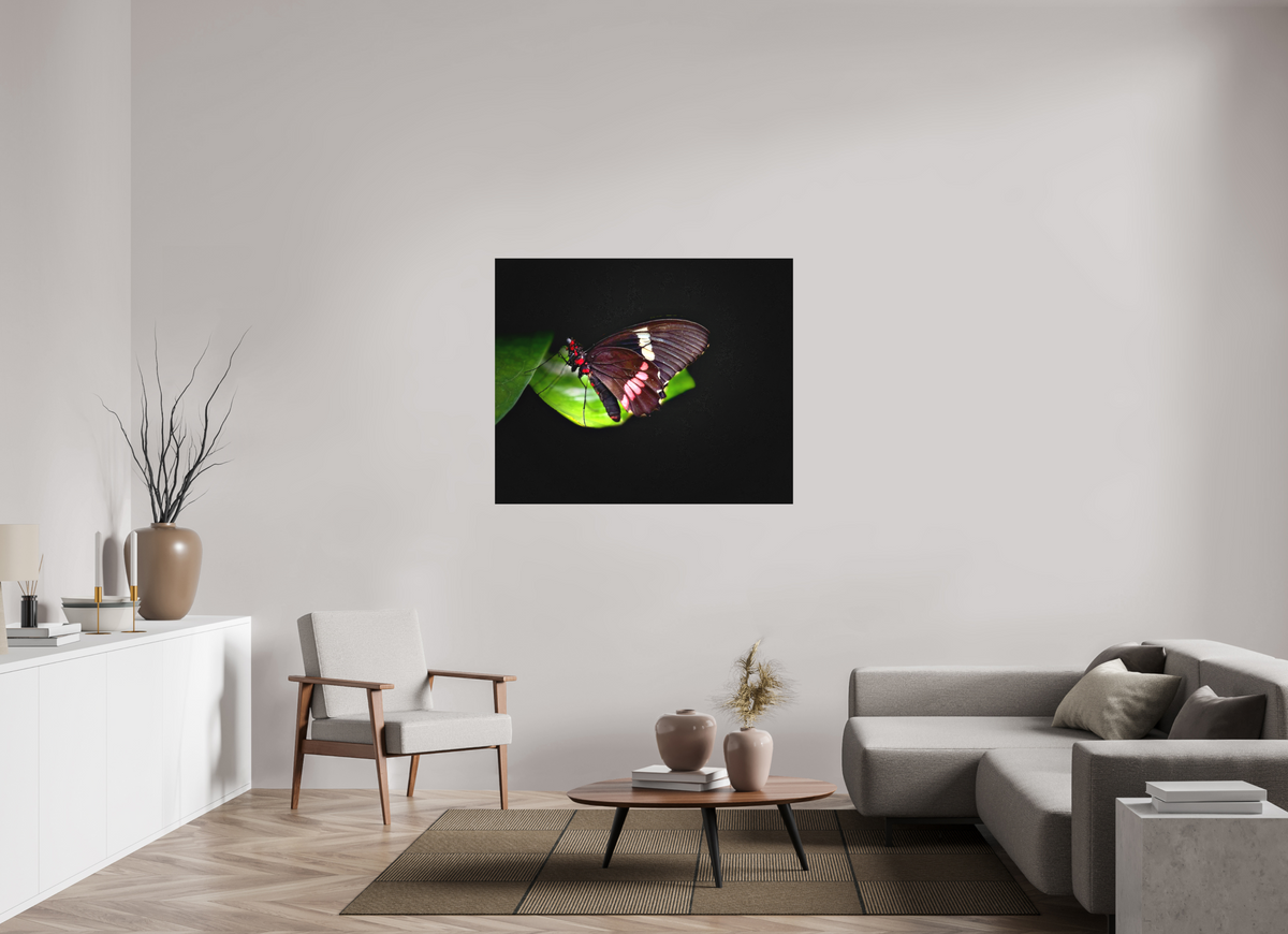 47.4 x 39″, Matte Canvas no Frame Velvet Wings